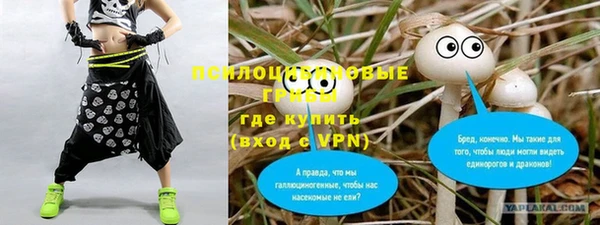 прущие грибы Аркадак
