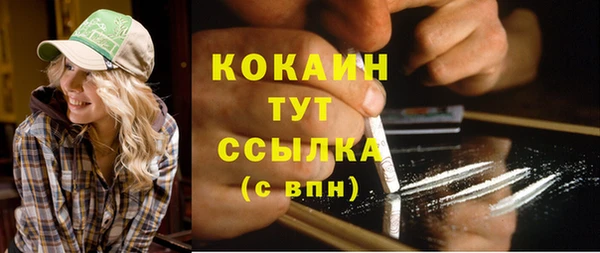 прущие грибы Аркадак