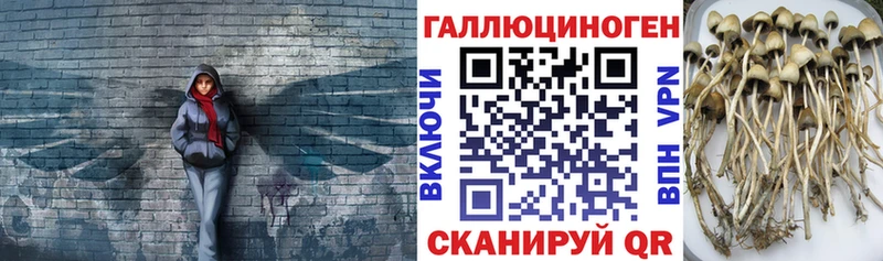 Купить где  Бахчисарай  Галлюциногенные грибы Magic Shrooms 